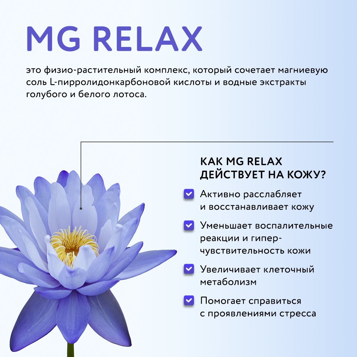 КОЛЛАГЕНОВЫЙ НОЧНОЙ ЛИФТИНГ КРЕМ С КОМПЛЕКСОМ MG RELAX