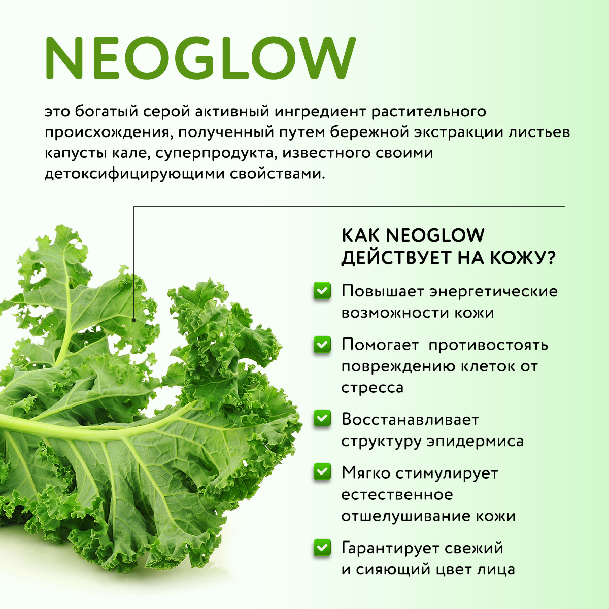 ГЕЛЬ ГИДРОБУСТЕР ДЛЯ ЛИЦА И ГЛАЗ С КОМПЛЕКСОМ NEOGLOW И ГИАЛУРОНОВОЙ КИСЛОТОЙ