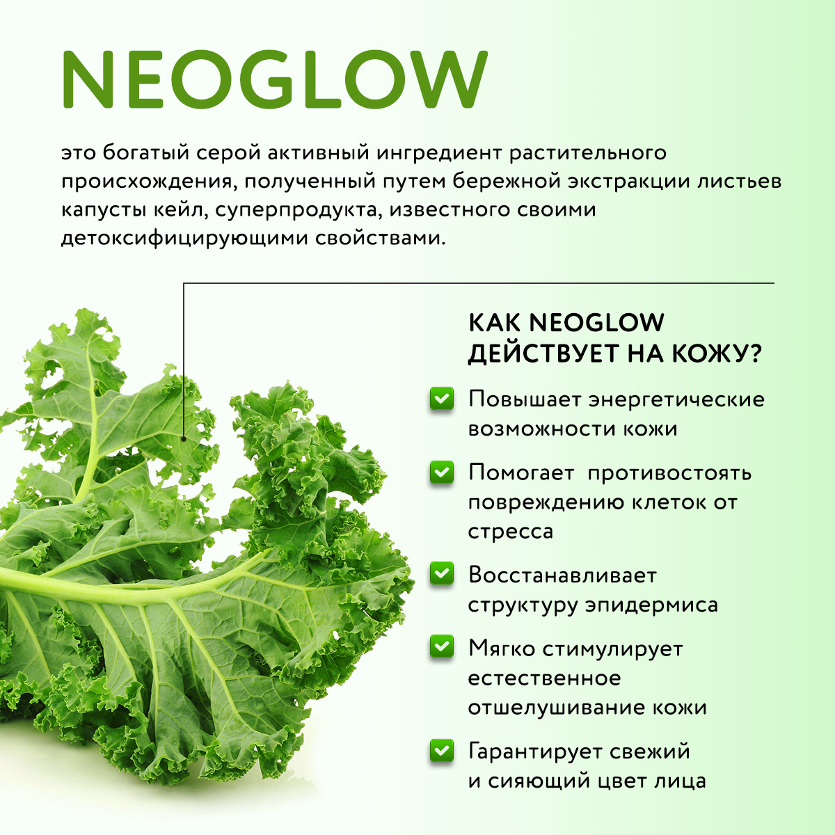  УВЛАЖНЯЮЩИЙ КРЕМ С КОМПЛЕКСОМ NEOGLOW И ВИТАМИНОМ С "СИЯНИЕ КОЖИ" SPF15